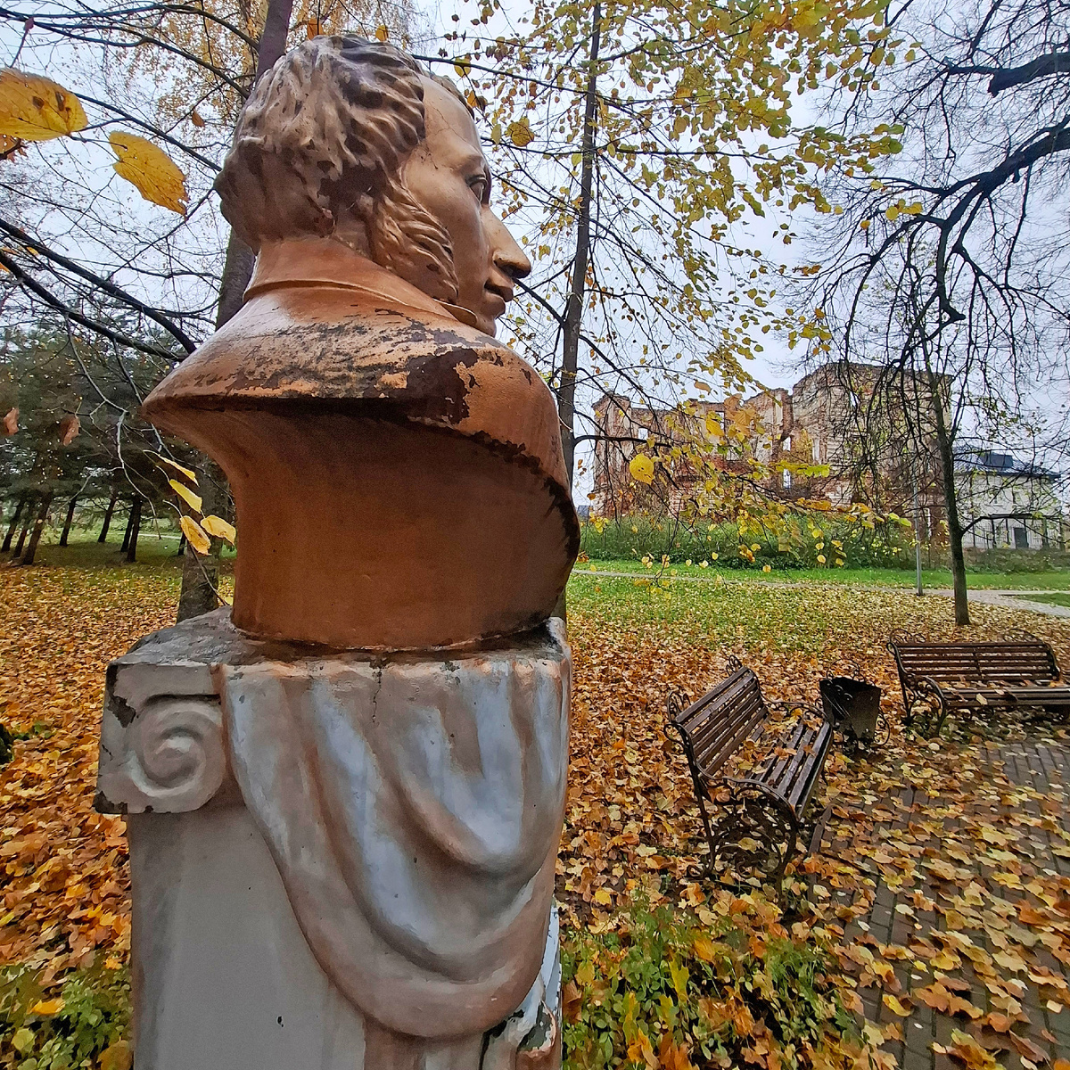 Обнинский Пушкин в профиль. Фото автора.