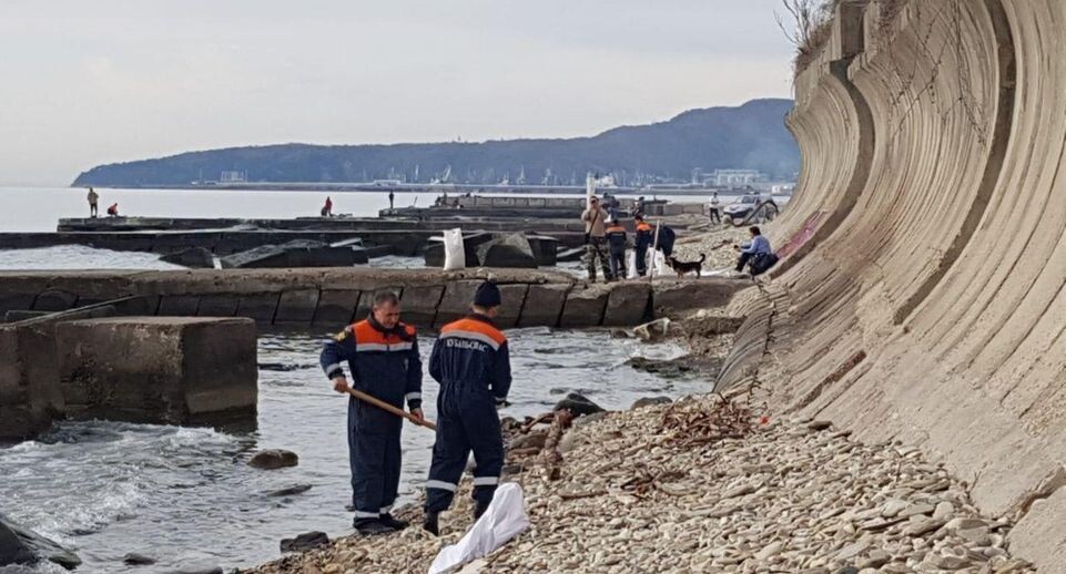    глава Туапсинского муниципального округа Краснодарского края Сергей Бойко / Telegram