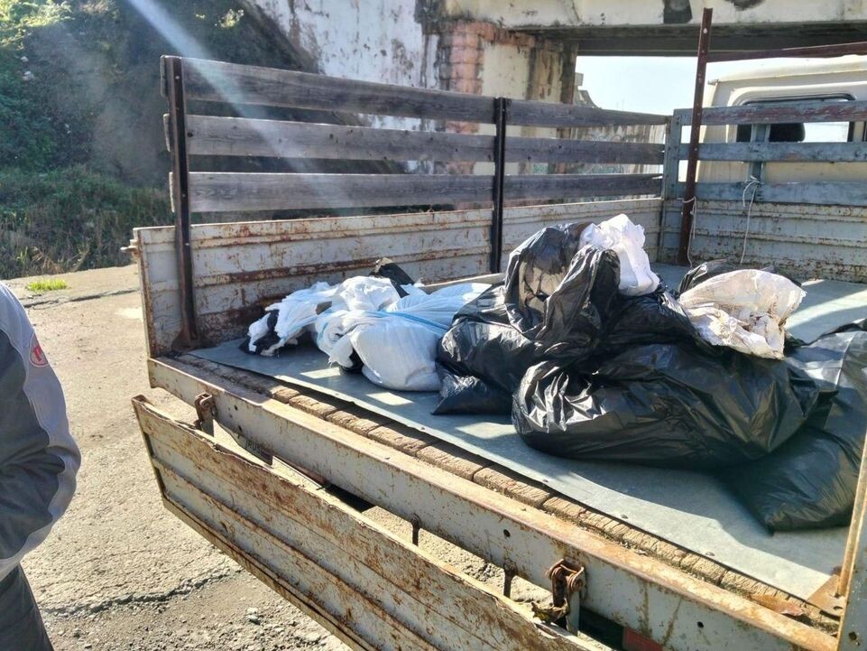     глава Туапсинского муниципального округа Краснодарского края Сергей Бойко / Telegram