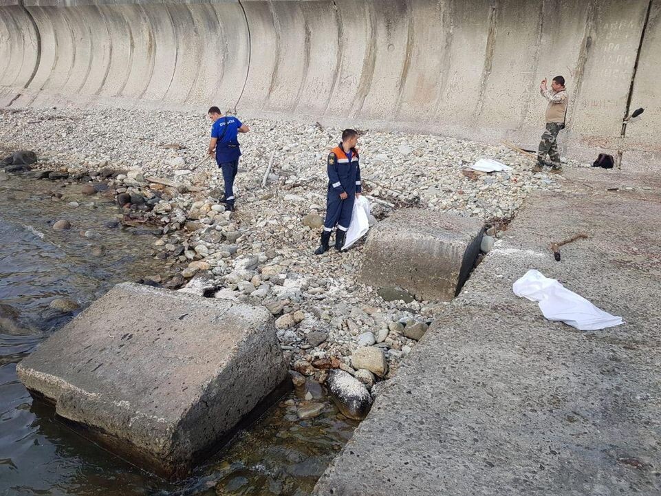     глава Туапсинского муниципального округа Краснодарского края Сергей Бойко / Telegram