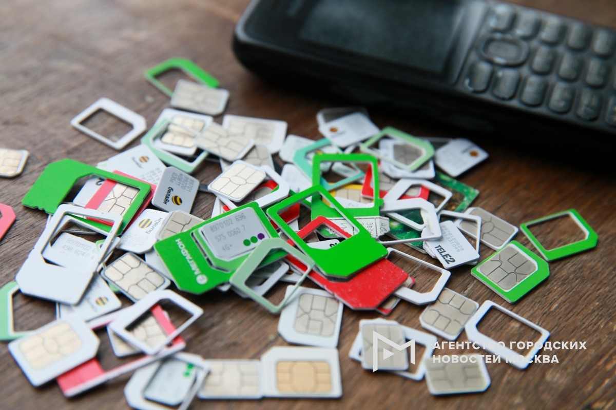 Фотограф: Василий Кузьмичёнок