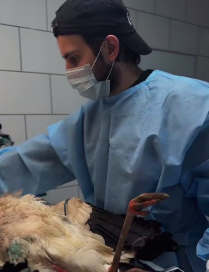 Иллюстрация: Парк "Малинки"