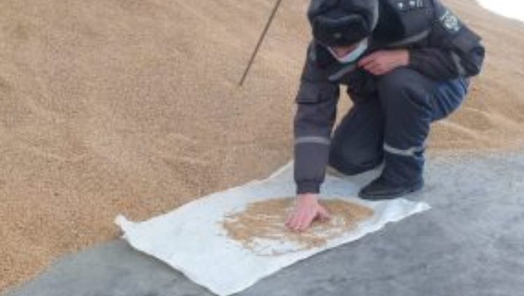    Фото: Россельхознадзор РФ