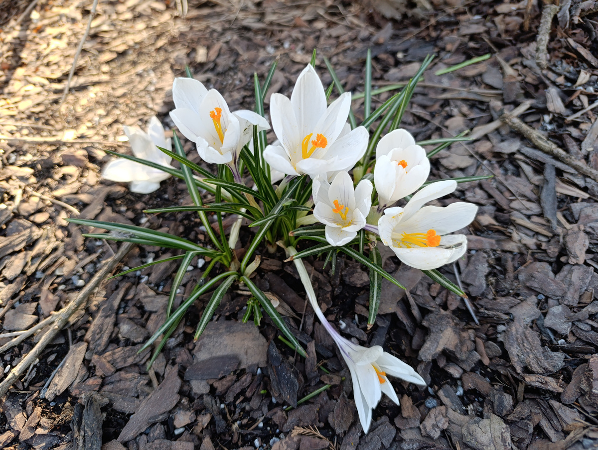 личное фото