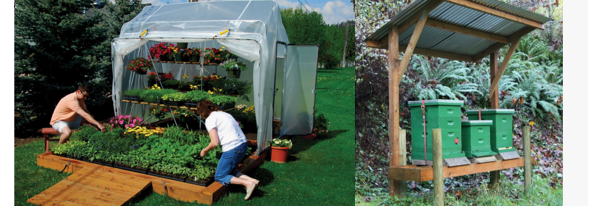 Дача вид деятельности можно выбрать по душе и по карману, но все ли легально?