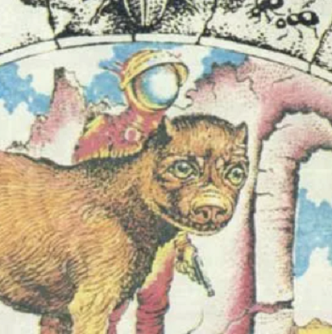 Фото из свободных источников интернета