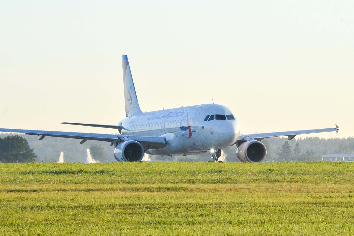 Самолет совершил экстренную посадку в пшеничном поле.  Фото: Дмитрий Шевалдин