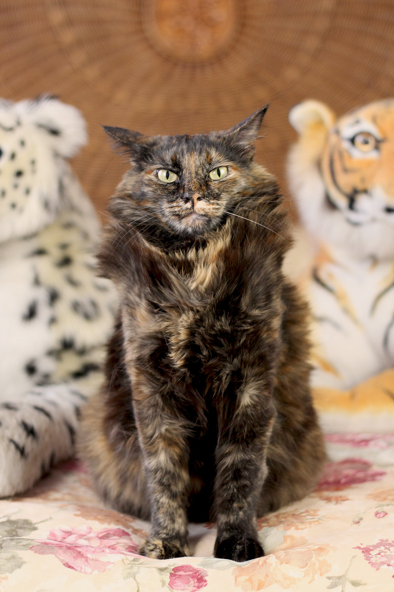 Мируся - настоящая добрячка. 