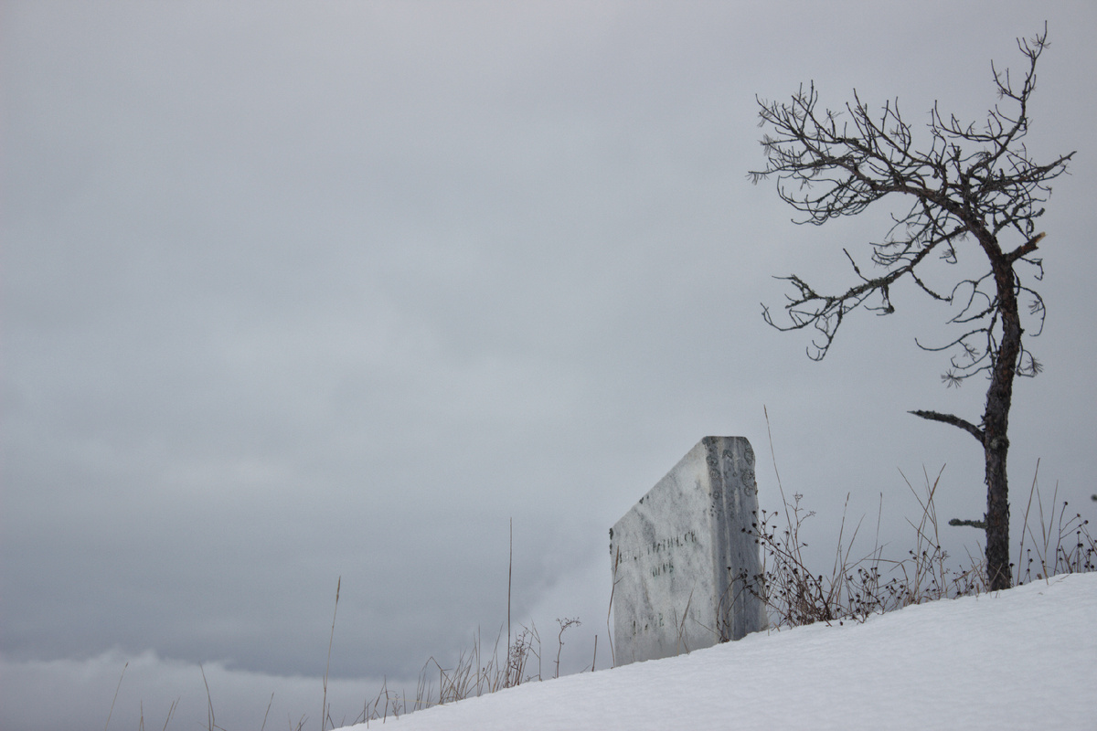 Деревце скорбит о погибшем. f/5.6 1/125s ISO100 55mm