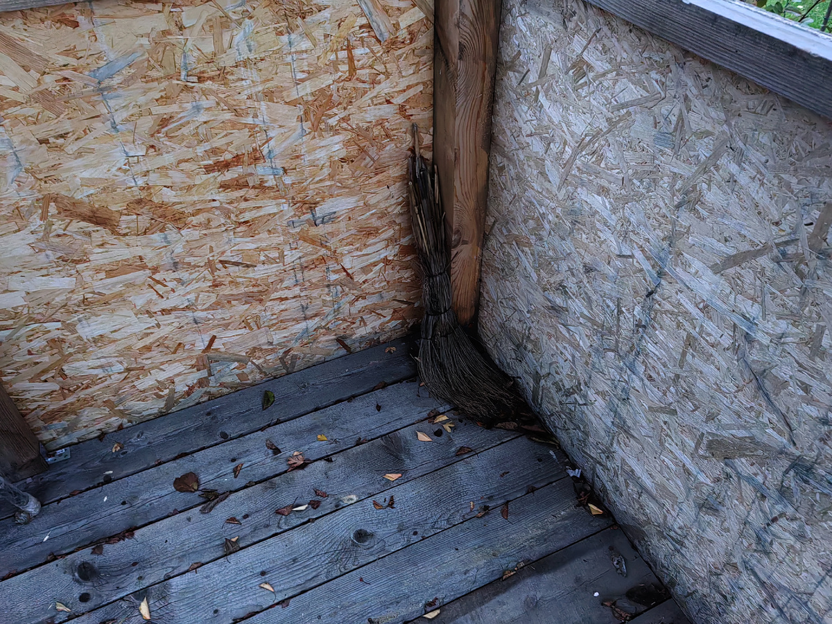 Дедушка веник.