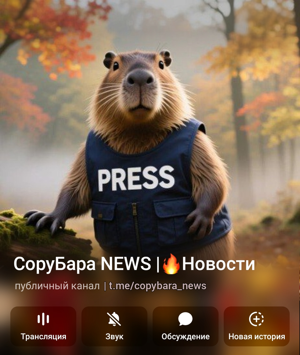 Перед Вами обложка канала куда можно выкладывать новости со своих каналов и групп. 