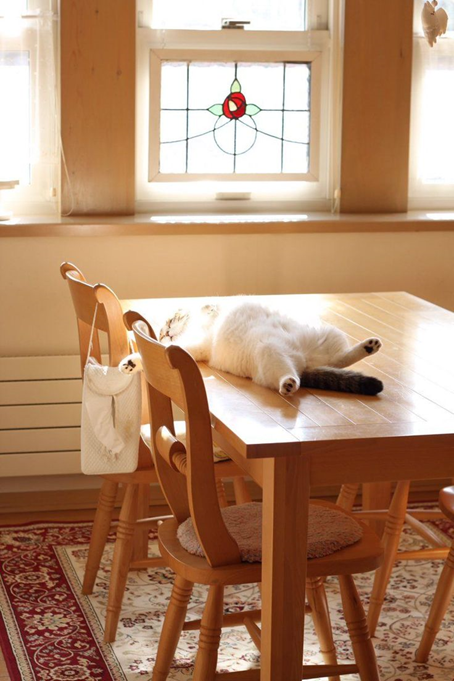 Яндекс. Картинки