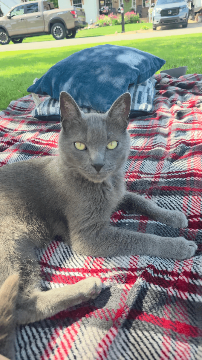 Гоша доволен