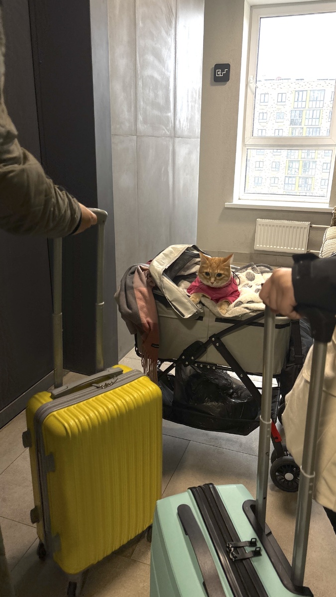 Я пока тут подумаю, а вы собирайтесь.