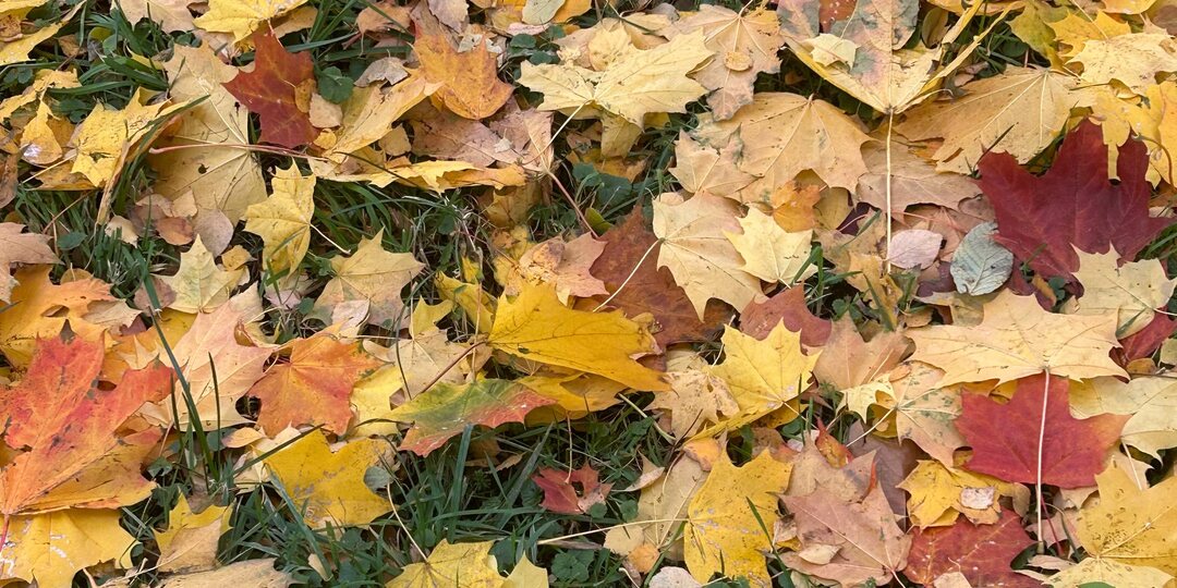 Practice makes perfect или улучшаем онлайн-курс с помощью заданий