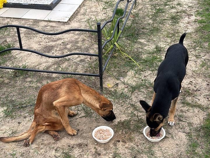 📍 История, от которой сжимается сердце…