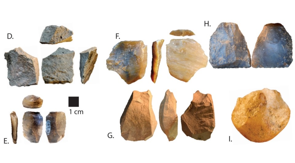   David Braun et al. / Nature Communications, 2025