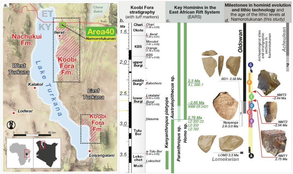   David Braun et al. / Nature Communications, 2025