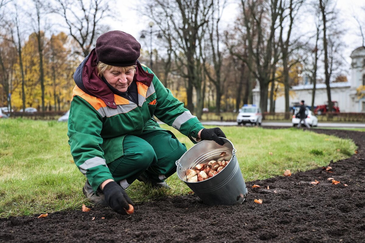 Фото: Комитет по благоустройству Санкт-Петербурга
