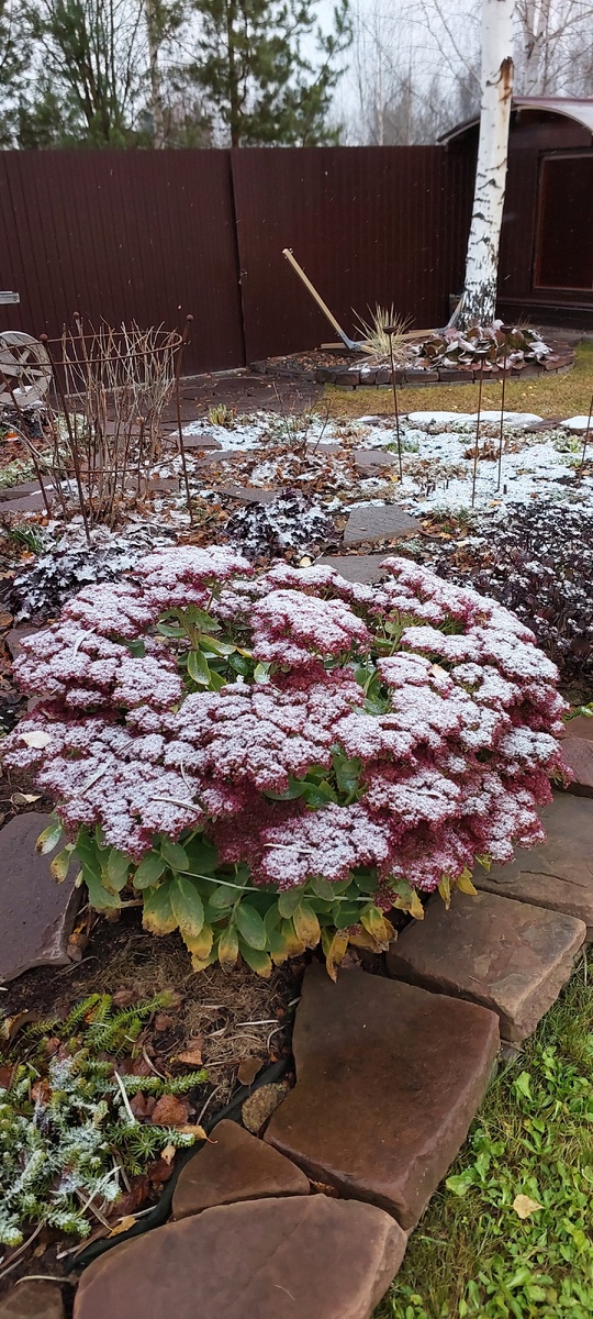 Красиво, но холодно.