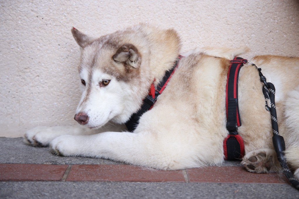    Фото © Анастасия Романова / Абзац