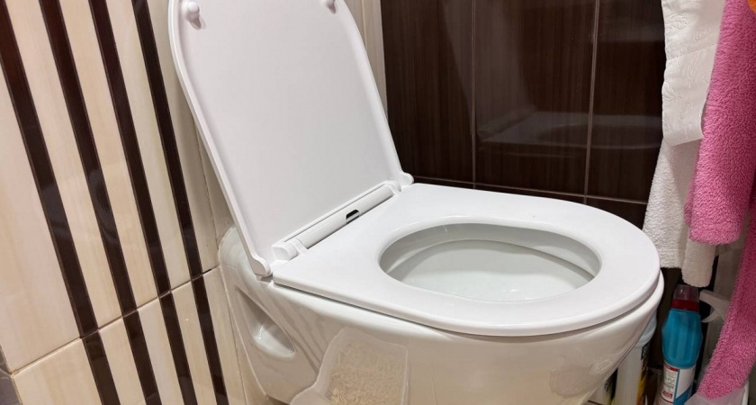    2 стакана в унитаз — и он аж светится в темноте от белизны: ни мочевого камня, ни извести, ни желтого налета