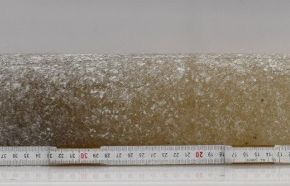     Фото: Oregon State University