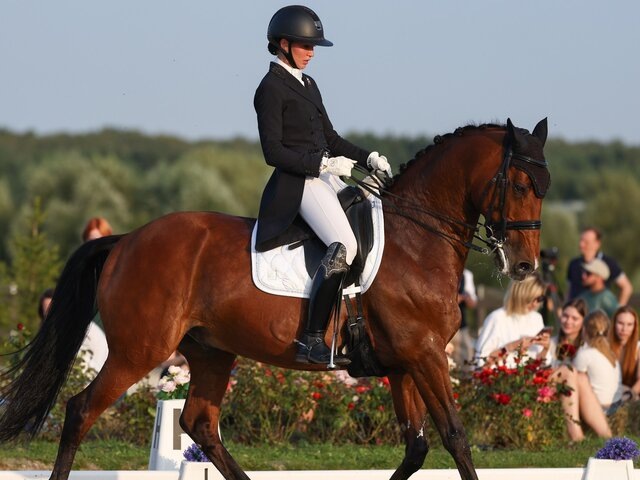    Фото: ТАСС/Артем Геодакян