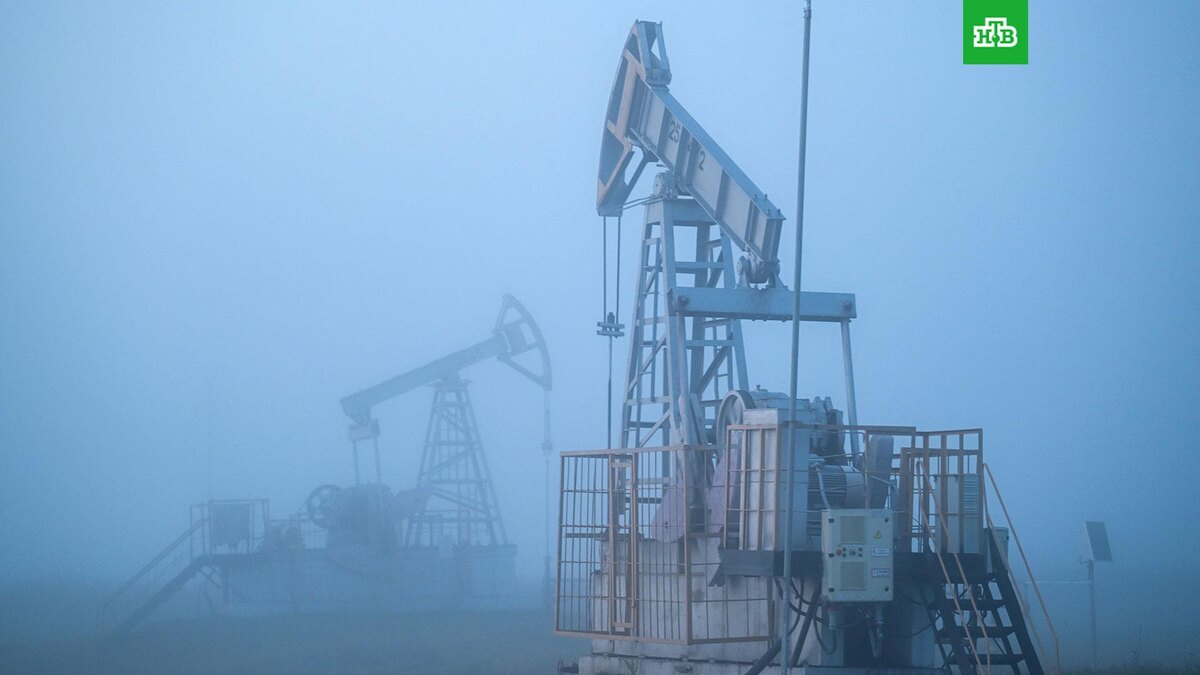    Фото: РИА Новости © 2025, Максим Богодвид