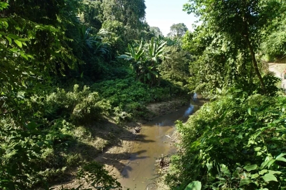    Россия и Шри-Ланка начали первые совместные учения «Тропа росомахи»