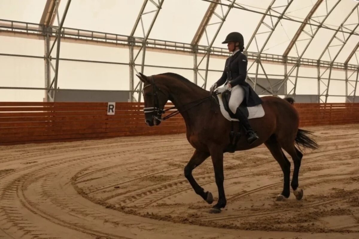    Российских всадников допустили до международных командных турниров