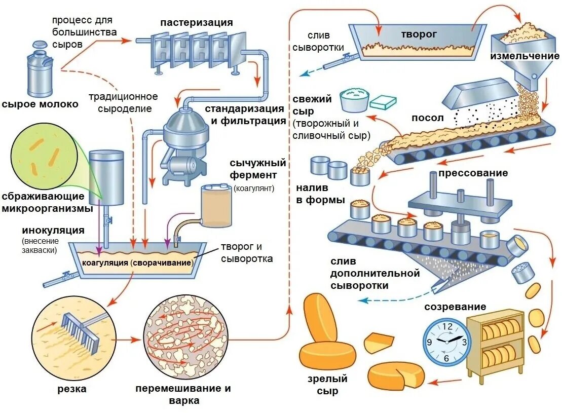 Процесс производства сыра