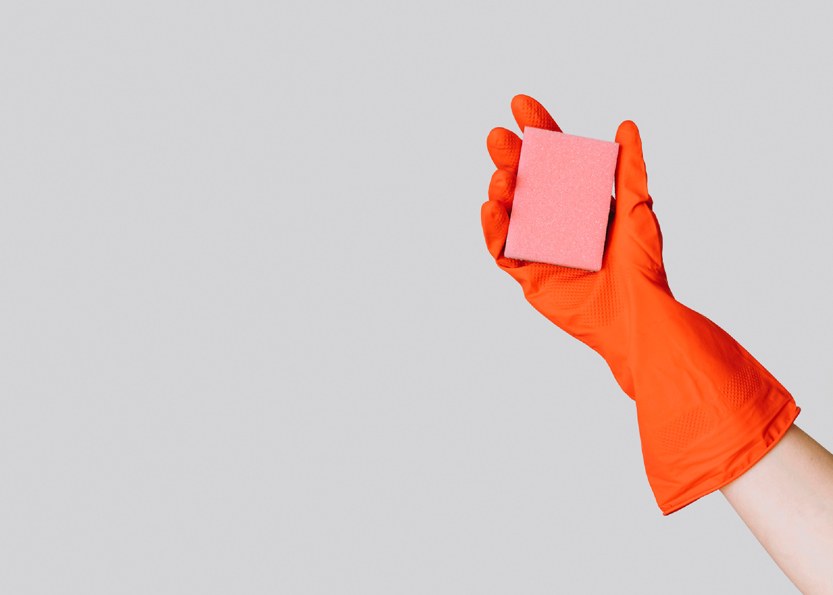 Об опыте и губках. Источник изображения: https://clck.ru/3Q9tsE