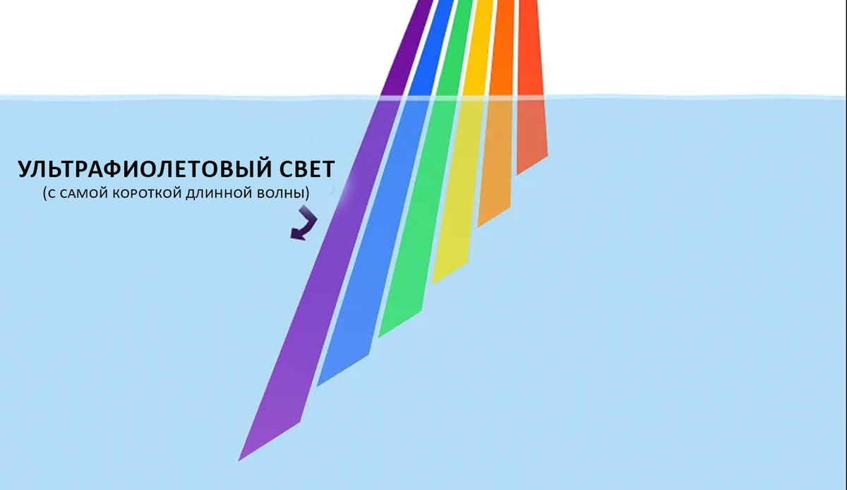 Цвета приманок: восприятие цветов под водой