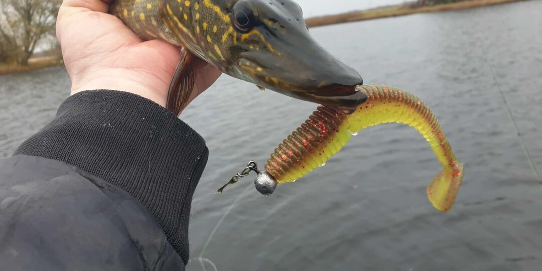 Выбираем цвет приманки: огненный тигр или природная естественность?