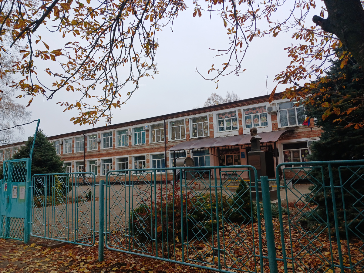 Моя школа-обычная, сельская. Откуда дети стремятся поступить в ВУЗ и желательно на бюджет 