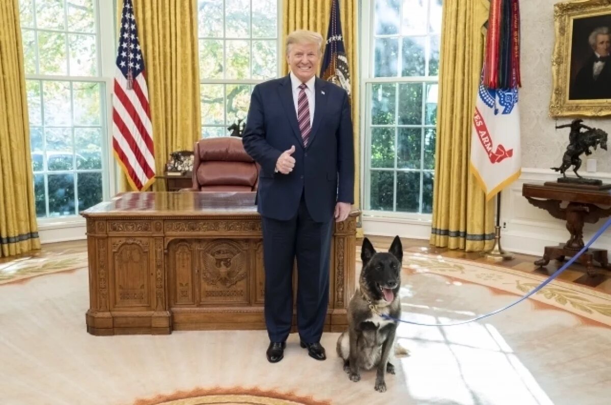    Sohu объяснил, почему ядерные испытания Трампа – «чушь собачья»