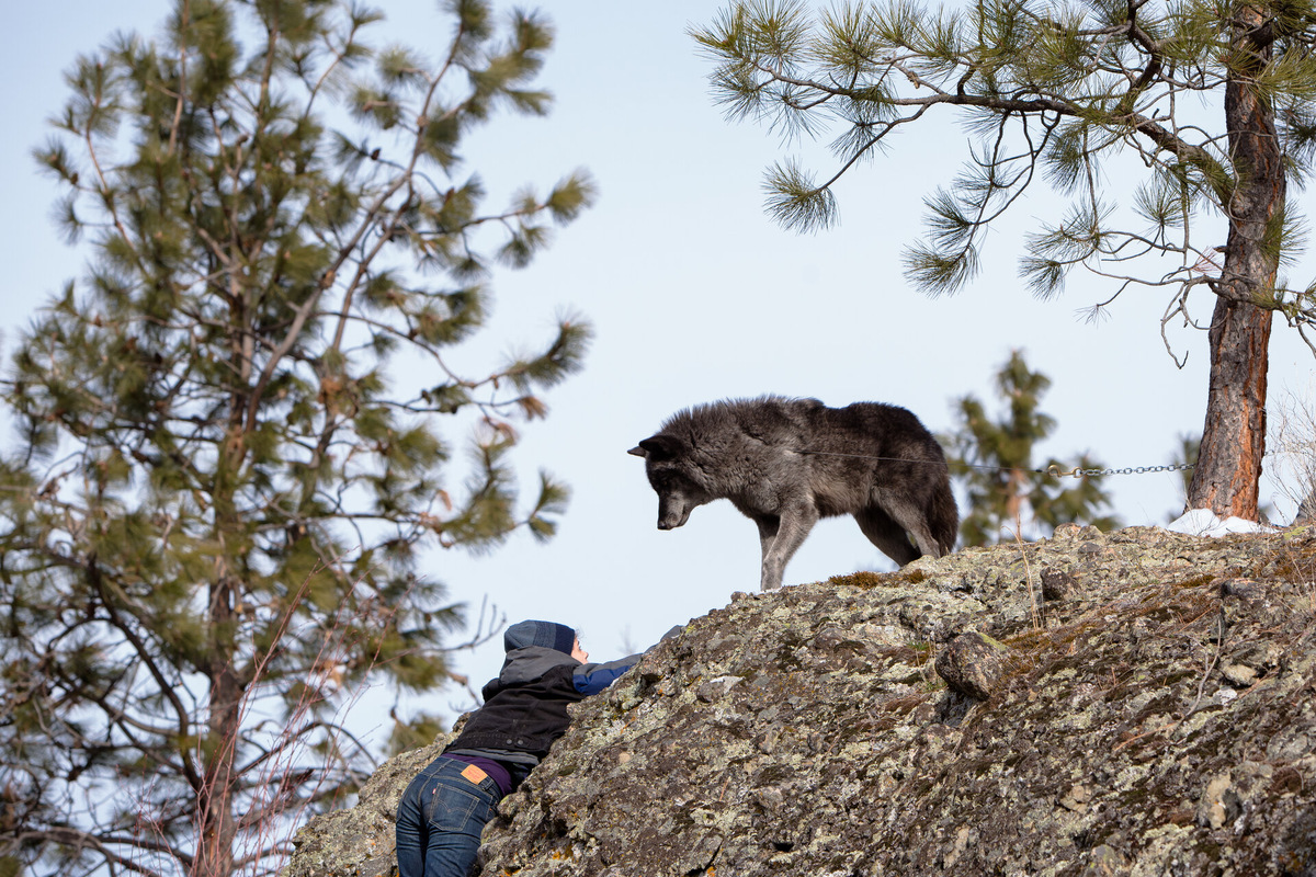 Кадр из фильма.