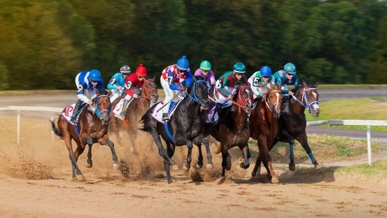    Фото: marinat197/Shutterstock/Fotodom