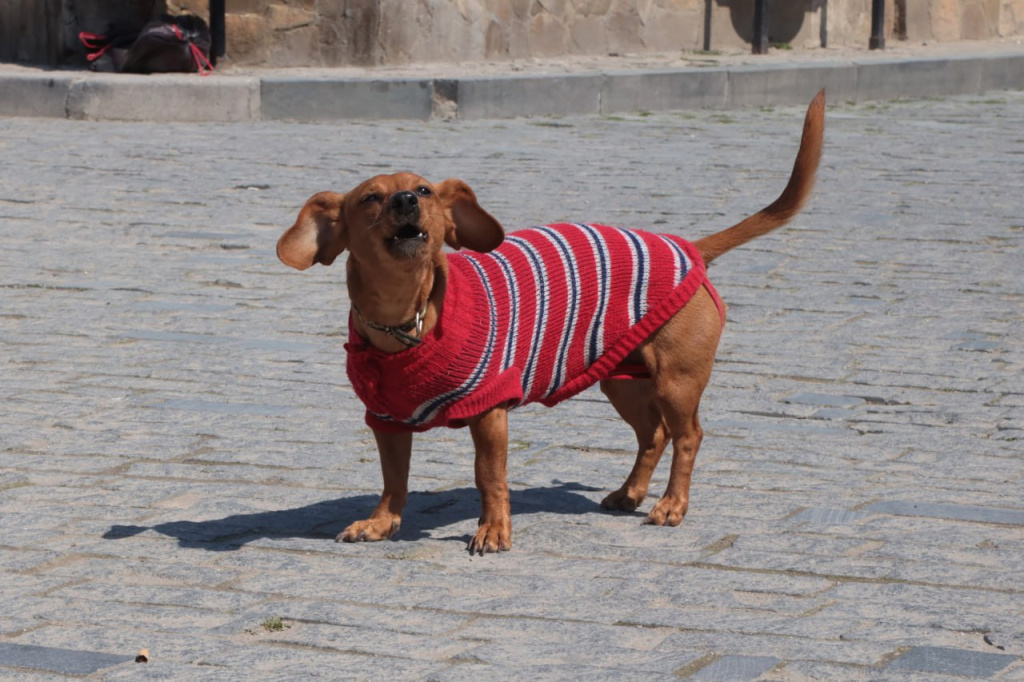 Фото: Наталья Сомова