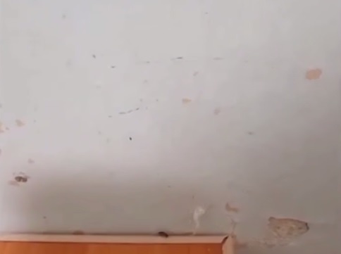     Фото: принтскрин с видео