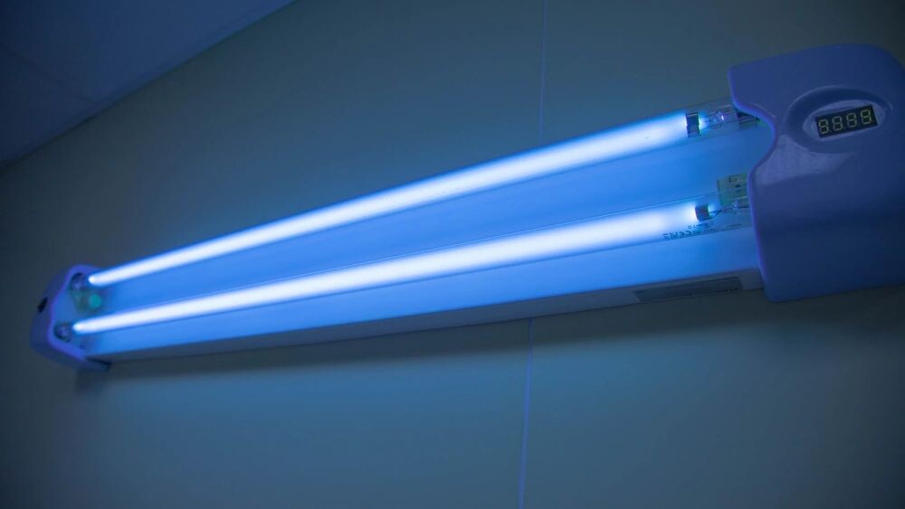    Фото: ChillyWilly74/Shutterstock/Fotodom