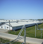 Взято с Яндекс картинки.