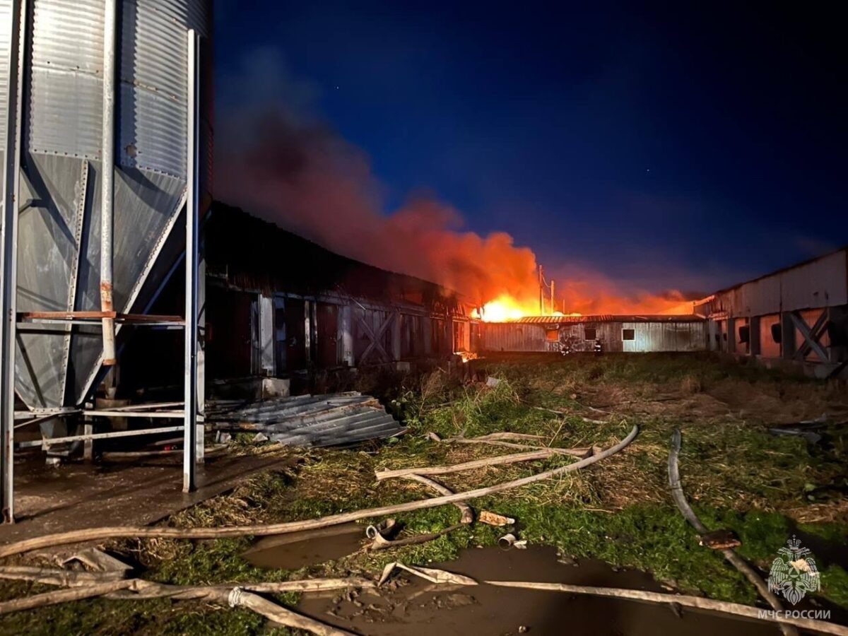    Фото: пресс-служба ГУ МЧС РФ по Сахалинской области Наталья Краснова