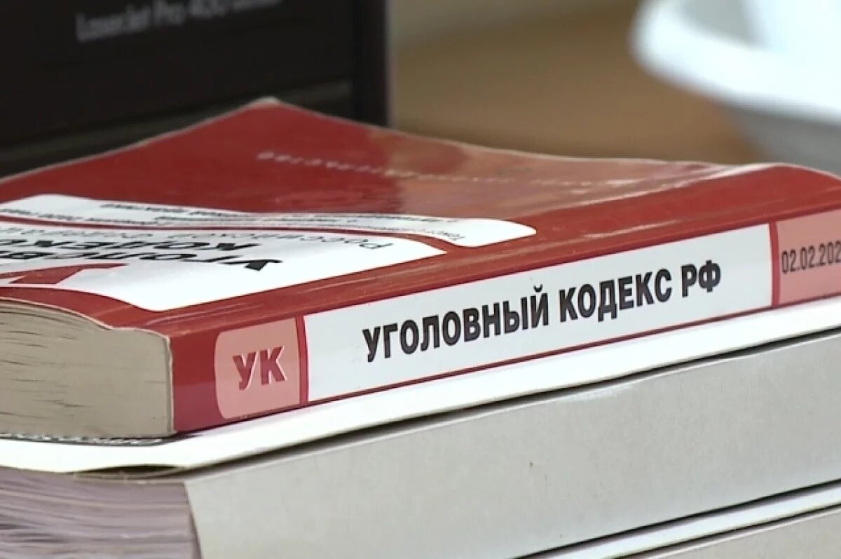    В Пензе заключили под стражу уроженку Самары за помощь мошенникам