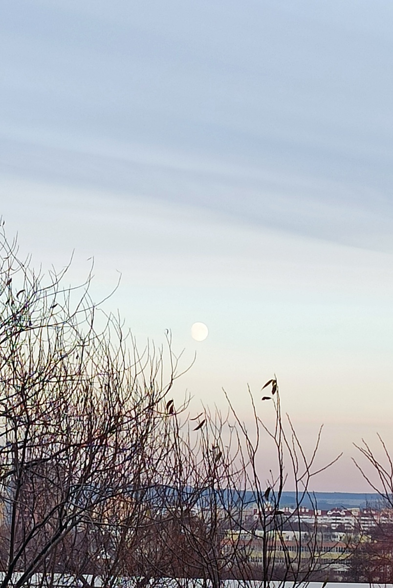 Все фотографии в статье автора. 