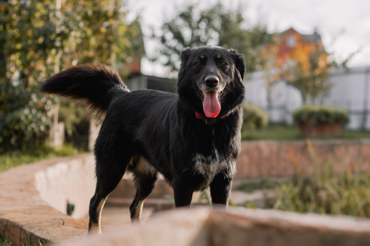 Кому как не Масе кокетничать с нашими подписчиками