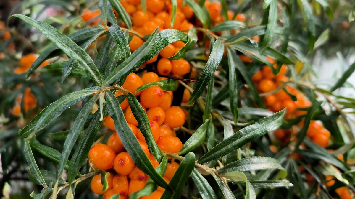 Фото: Maksim Konstantinov/globallookpress.com