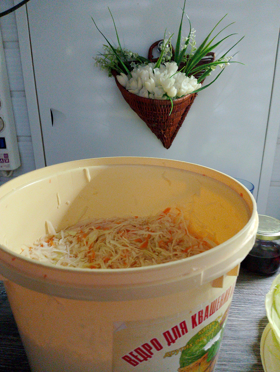 Фото автора.