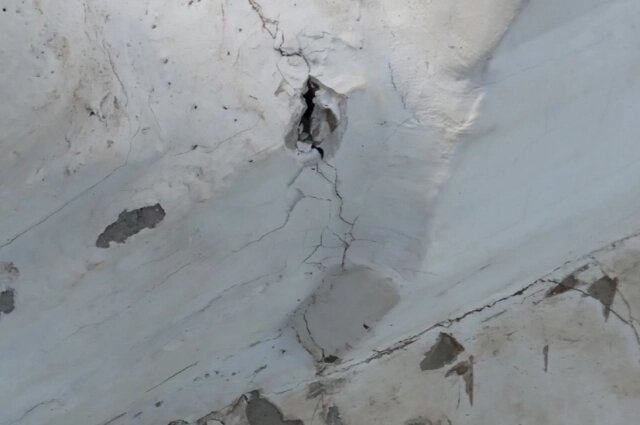    Фото: Из личного архива/ Ольга Светлова